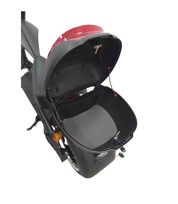 Gepäckträger für den E-Roller X9, Seitenansicht 1