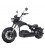 E-Chopper Raven