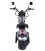 Elektro Chopper Raven, 45 km/h, light grey, Rückansicht