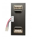 Lithium-Akku 60V 52Ah, Kabinenroller Cruise, Electron