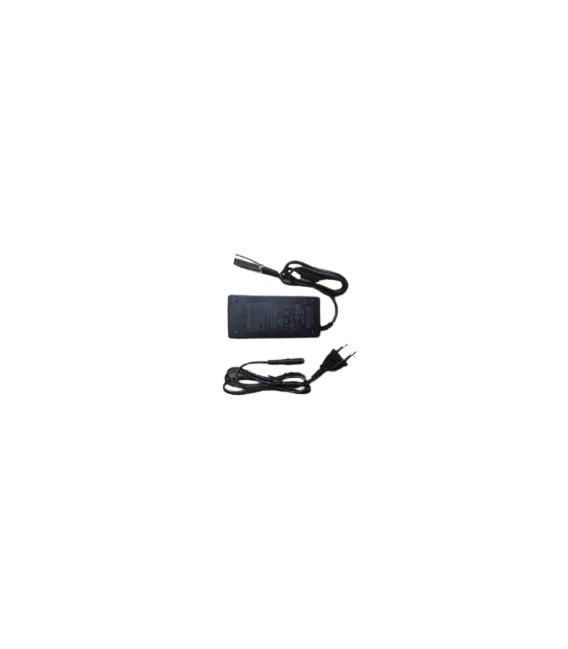 Ladegerät Lithium Vita Care 500