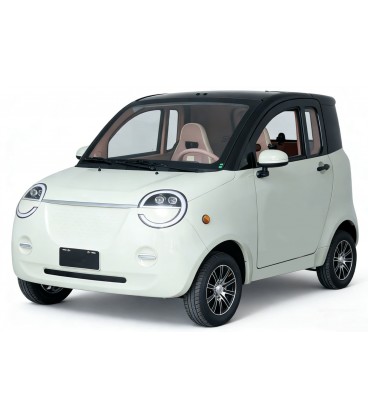 Mopedauto Dora, 45 km/h, 60V/100Ah Blei-Gel-Akku