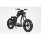 Mangosteen Elektrofahrrad FT2