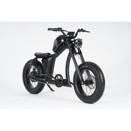 Mangosteen Elektrofahrrad FT2
