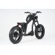 Mangosteen Elektrofahrrad FT2