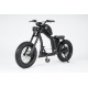 Mangosteen Elektrofahrrad FT2